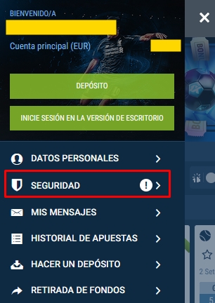 Es en esta pestaña donde se encuentra el CÓDIGO QR